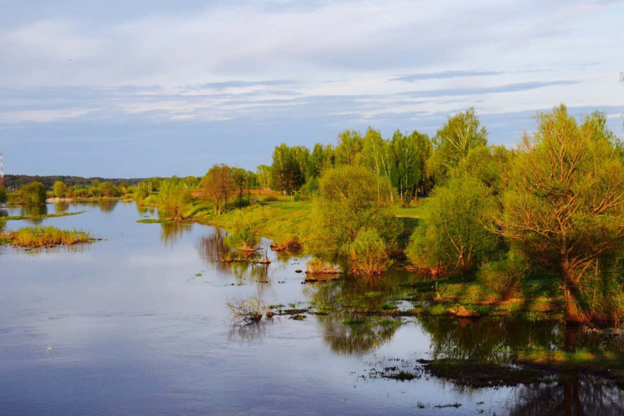 31 мая завершился конкурс фотографий "Весна в родном городе" - 1444270242 31 мая завершился конкурс фотографий "Весна в родном городе" - 950812409