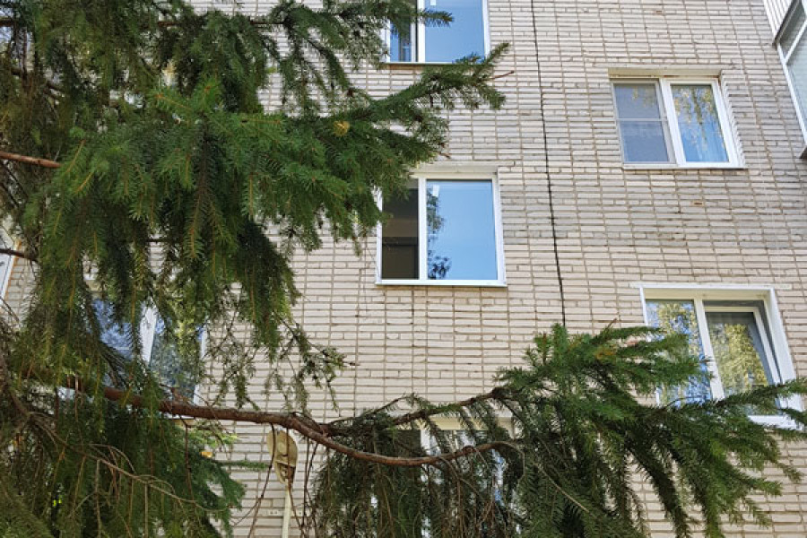 Пластиковые окна в подъезде - 795593126