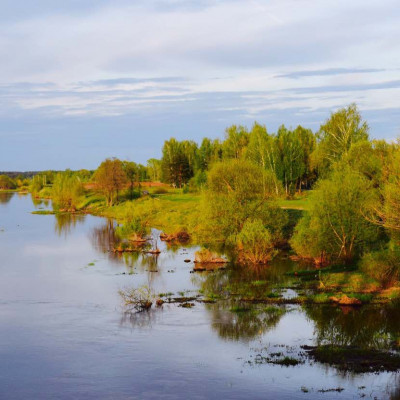 31 мая  завершился  конкурс фотографий "Весна в родном городе" - 950812409