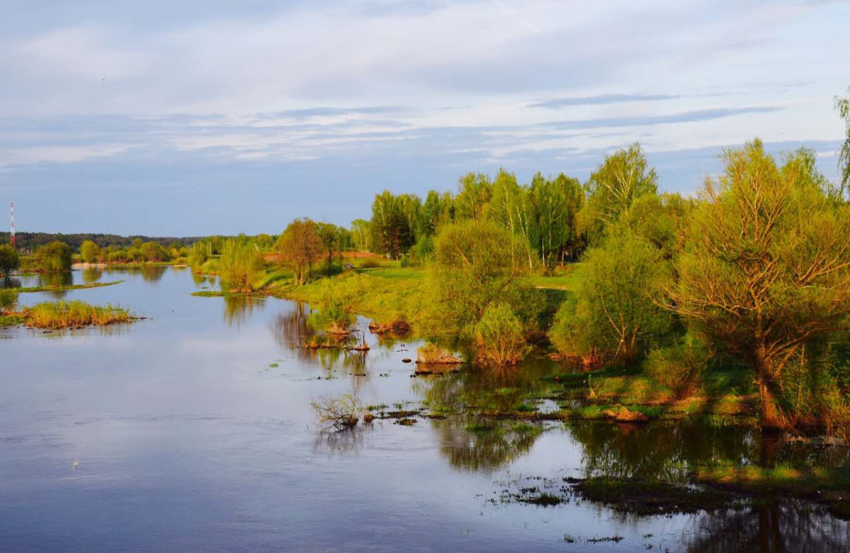 31 мая  завершился  конкурс фотографий "Весна в родном городе" - 950812409