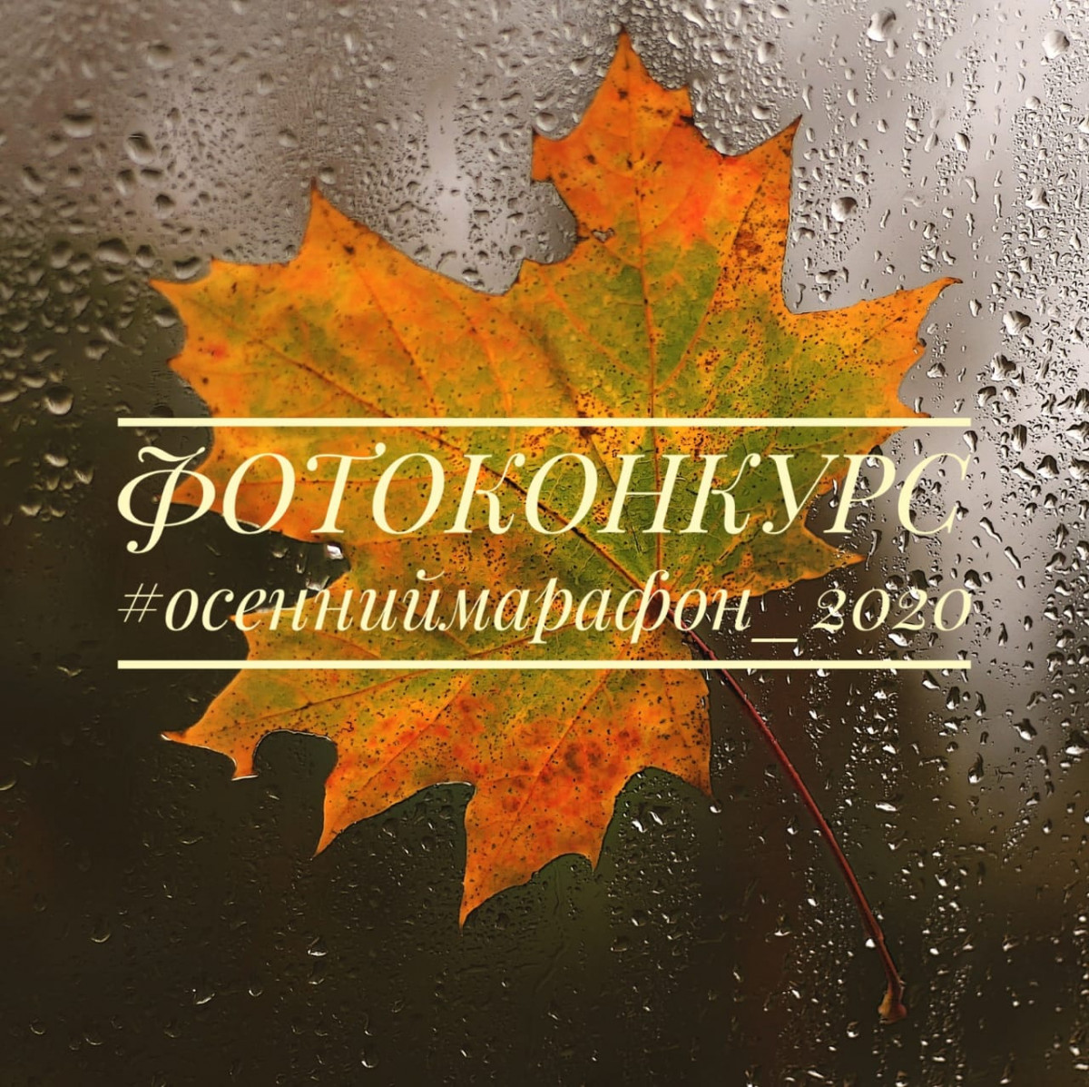 Фотоконкурс #осенниймарафон_2020 - 1952614420 Фотоконкурс #осенниймарафон_2020 - 1403543608